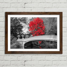 Load image into Gallery viewer, Red Tree Central Park Bridge New York