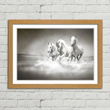 Load image into Gallery viewer, White Horses Running