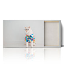 Load image into Gallery viewer, Cat in Shirt Glasses Holiday Funny Cute