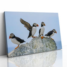 Load image into Gallery viewer, Atlantic Puffins on Rock