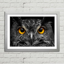 Load image into Gallery viewer, Cute Owl Staring