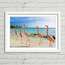 Load image into Gallery viewer, Flamingoes on Aruba Beach