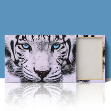 Load image into Gallery viewer, Blue Eyed White Tiger