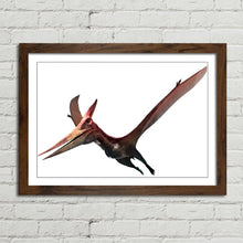 Load image into Gallery viewer, Pteranodon Flying Dinosaur