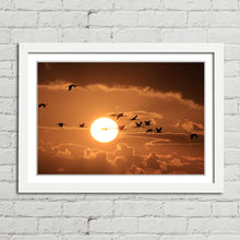 Load image into Gallery viewer, Cranes Flying at Sunset