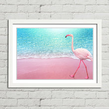 Load image into Gallery viewer, Pink Flamingo on Beach Aruba
