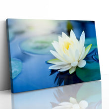 Load image into Gallery viewer, White Lotus Flower in Pond