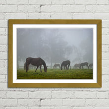 Load image into Gallery viewer, Horse Herd in Autumn