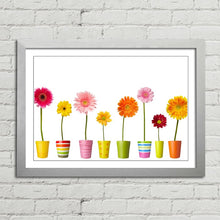 Load image into Gallery viewer, Flower Pots and Daisy Colours