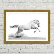 Load image into Gallery viewer, Stallion Horse Equestrian