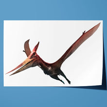 Load image into Gallery viewer, Pteranodon Flying Dinosaur