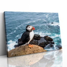 Load image into Gallery viewer, Atlantic Puffin on Cliff