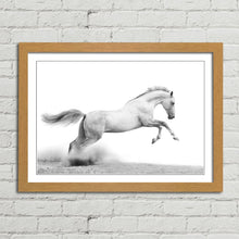 Load image into Gallery viewer, Stallion Horse Equestrian