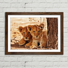 Load image into Gallery viewer, Cute Lion Cubs