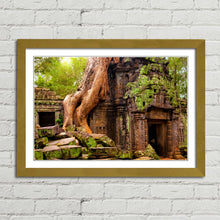 Load image into Gallery viewer, Ta Prohm Temple Cambodia
