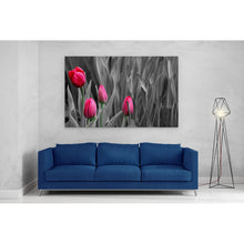 Load image into Gallery viewer, Pink Tulips in Black and White