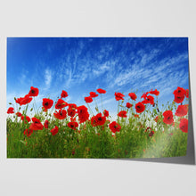 Load image into Gallery viewer, Red Poppies in Field