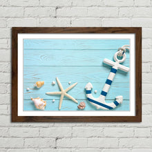Load image into Gallery viewer, Marine Anchor Starfish Shells