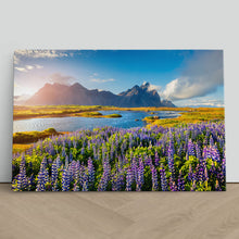 Load image into Gallery viewer, Flowers in Bloom at Stokksnes Iceland