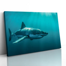Load image into Gallery viewer, Great White Shark Jaws