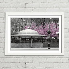 Load image into Gallery viewer, Pink Blossom Tree New York Subway