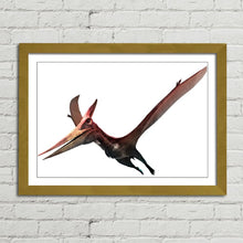 Load image into Gallery viewer, Pteranodon Flying Dinosaur
