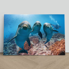 Load image into Gallery viewer, Cute Dolphins Underwater