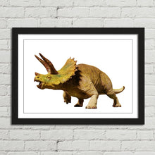 Load image into Gallery viewer, Triceratops Dinosaur Reptile