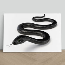 Load image into Gallery viewer, Black Snake with Forked Tongue