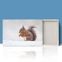 Load image into Gallery viewer, Red Squirrel in Snow England Winter