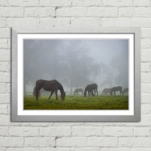 Load image into Gallery viewer, Horse Herd in Autumn