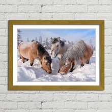 Load image into Gallery viewer, Horses in the Snow