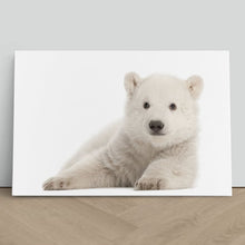 Load image into Gallery viewer, Polar Bear Cub Baby
