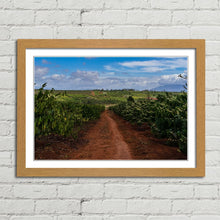 Load image into Gallery viewer, Coffee Plantation Pleiku Vietnam