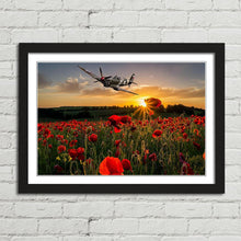 Load image into Gallery viewer, Poppy Field Spitfire Remembrance