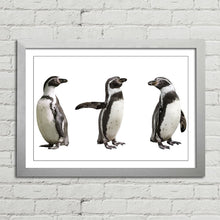 Load image into Gallery viewer, Cute Humboldt Penguin Family
