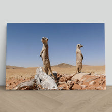 Load image into Gallery viewer, Cute Meerkats on Lookout