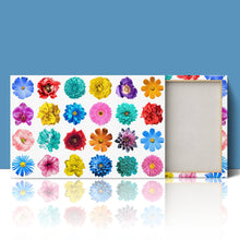 Load image into Gallery viewer, Flowers of various Colours