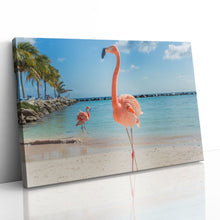 Load image into Gallery viewer, Pink Flamingo in Aruba