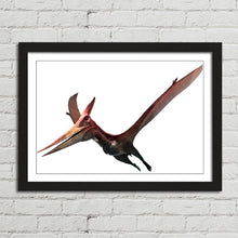Load image into Gallery viewer, Pteranodon Flying Dinosaur