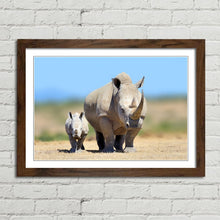 Load image into Gallery viewer, White Rhinoceros Baby