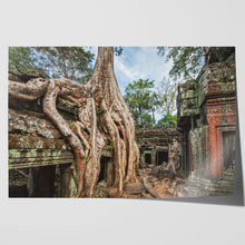 Load image into Gallery viewer, Ta Prohm Temple Tree Angkor