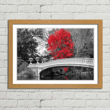 Load image into Gallery viewer, Red Tree Central Park Bridge New York