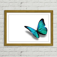 Load image into Gallery viewer, Turquoise Butterfly Nature