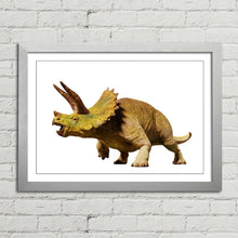 Load image into Gallery viewer, Triceratops Dinosaur Reptile