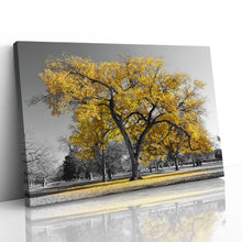 Load image into Gallery viewer, Large Tree with Yellow Leaves Central Park