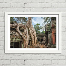Load image into Gallery viewer, Ta Prohm Temple Tree Angkor
