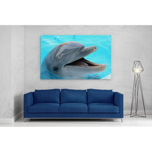 Load image into Gallery viewer, Dolphin Smiling Happy