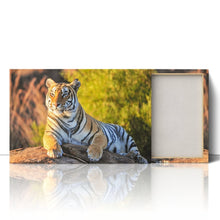 Load image into Gallery viewer, Tiger Big Cat Sitting