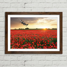 Load image into Gallery viewer, Spitfire at Sunset Poppy Field